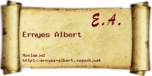 Ernyes Albert névjegykártya