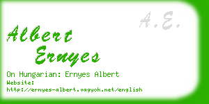 albert ernyes business card